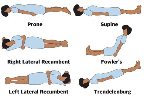 Anatomical Position Anatomical Position