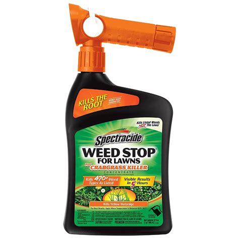 Best Weed Killer