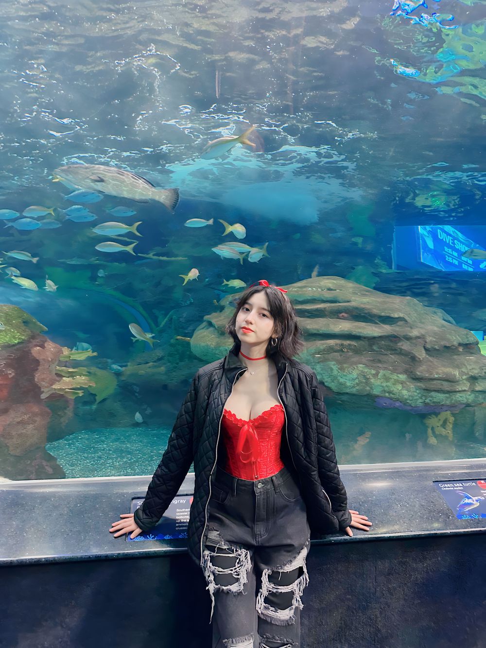 Cherrycute666 OnlyFans: Exclusive Content Unveiled