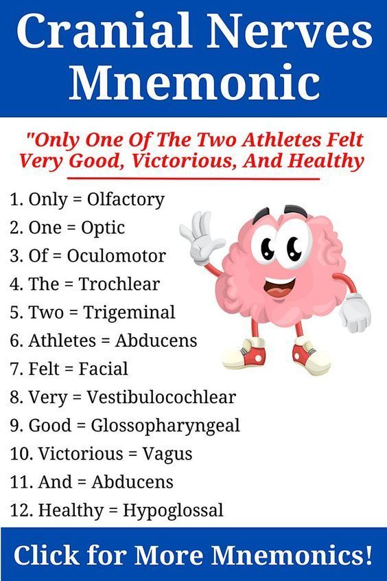 Cranial Nerve Mnemonic Cranial Nerve Mnemonic