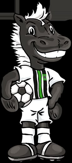 Gladbach News