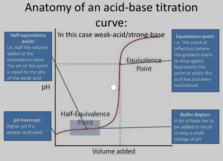 Half Equivalence Point