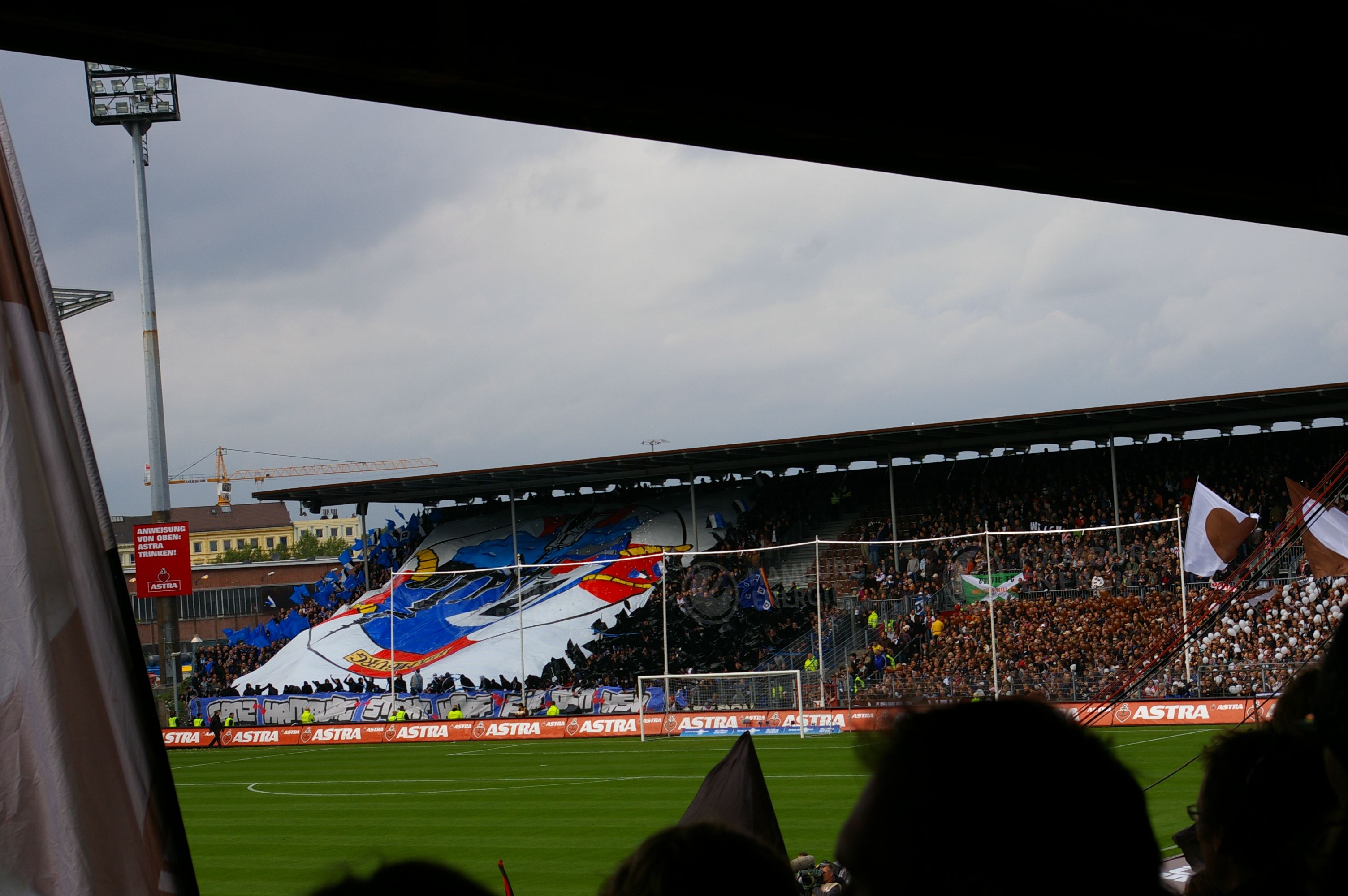 Hsv Pauli