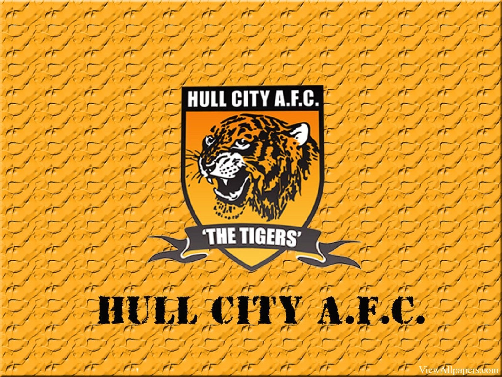 Hull City Hull City
