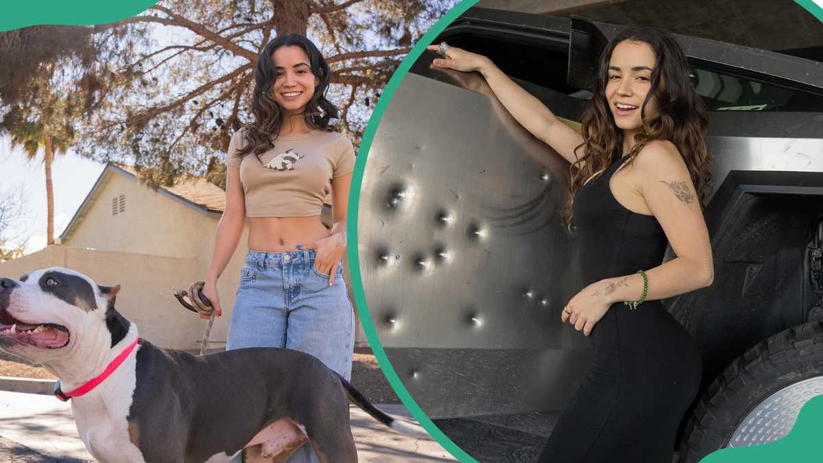 Jelly Bean Brains Biography Real Name Age Height Instagram And Career Jelly Bean Brains Biography Real Name Age Height Instagram And Career
