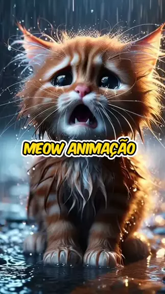 Meowburst Meowburst