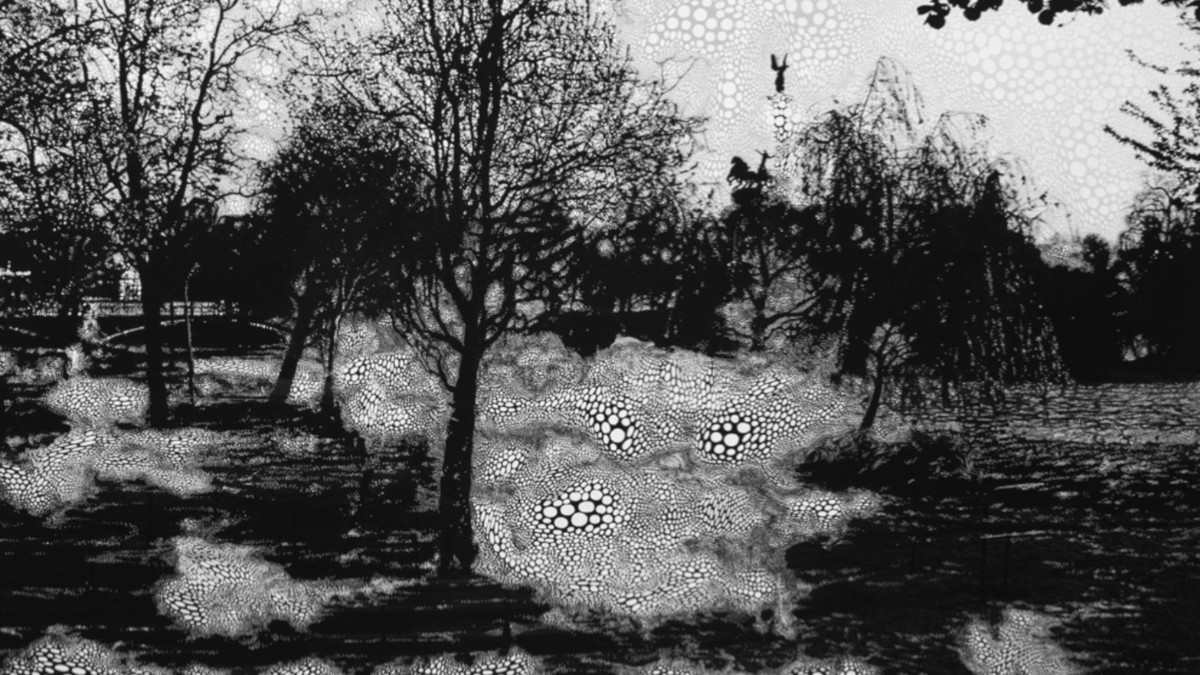 Ciobanus Spielanteile Prägen Bremer Auftaktanalyse