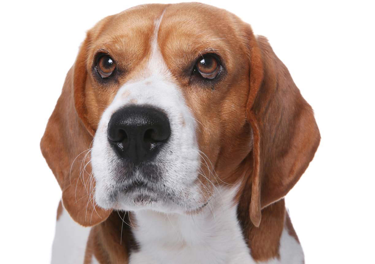 Planung Zeigt Schwergewicht Für Bundesliga-Klicker Am Schwierigsten